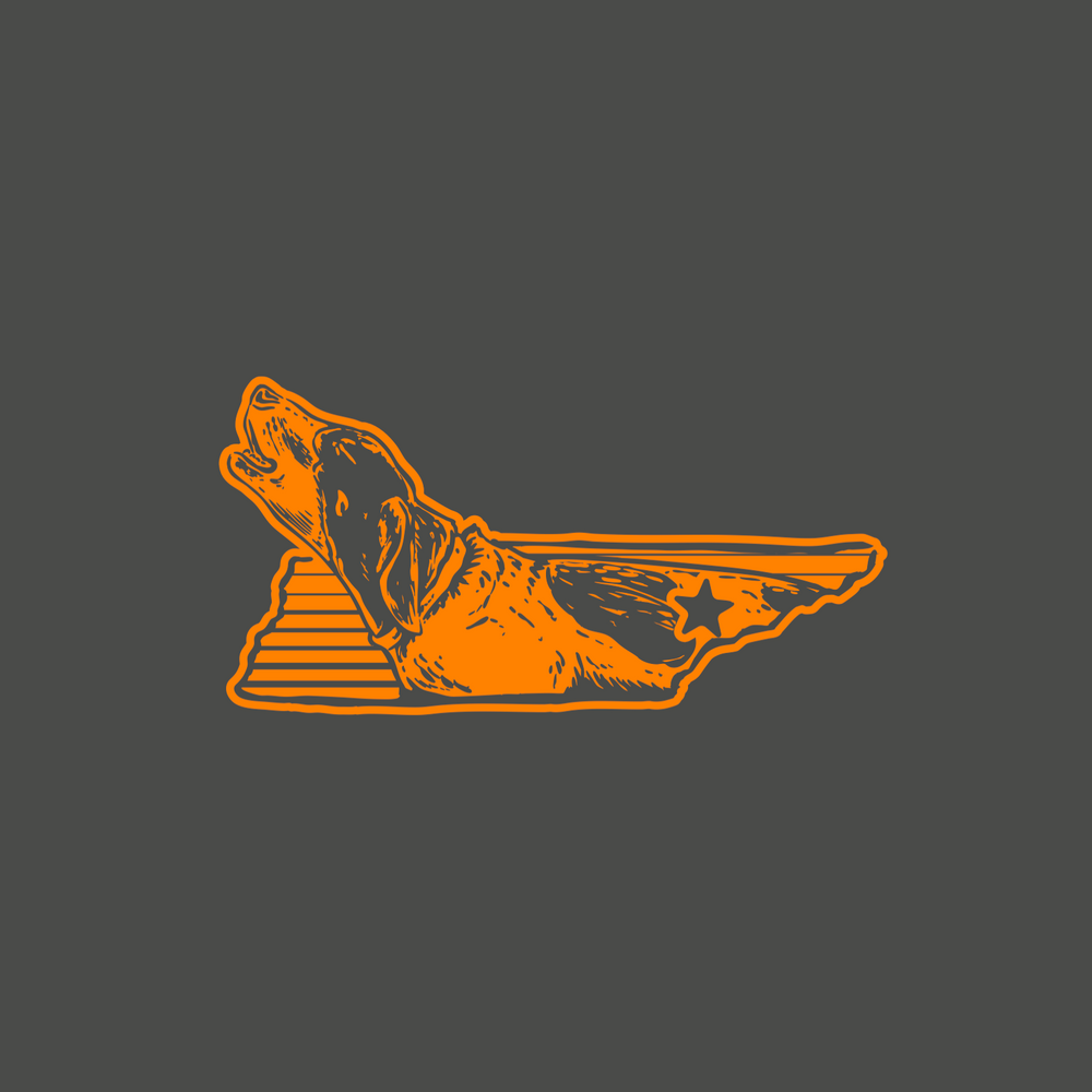 Bury Me In Knoxville Pocket Tee