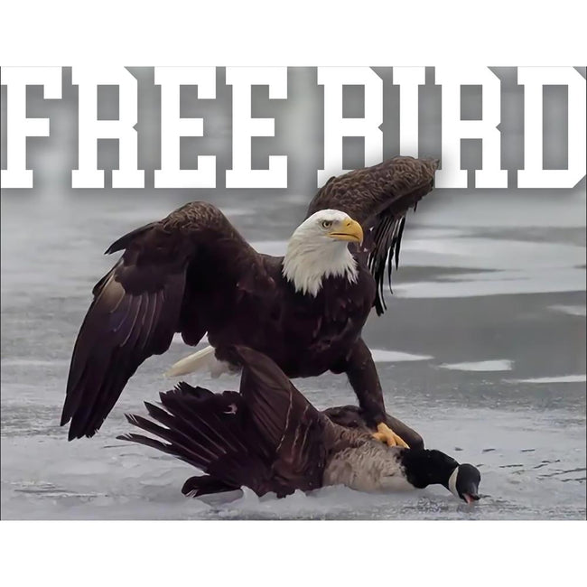 Free Bird Legend Pocket Tee-T-Shirts-America First-Old Row